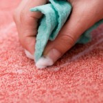 Clean Pet Vomit From Carpet San Antonio TX